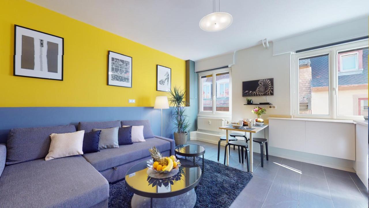 Suite Privative 43M2 - Les Tailleurs A 120M De La Cathedrale 스트라스부르 외부 사진